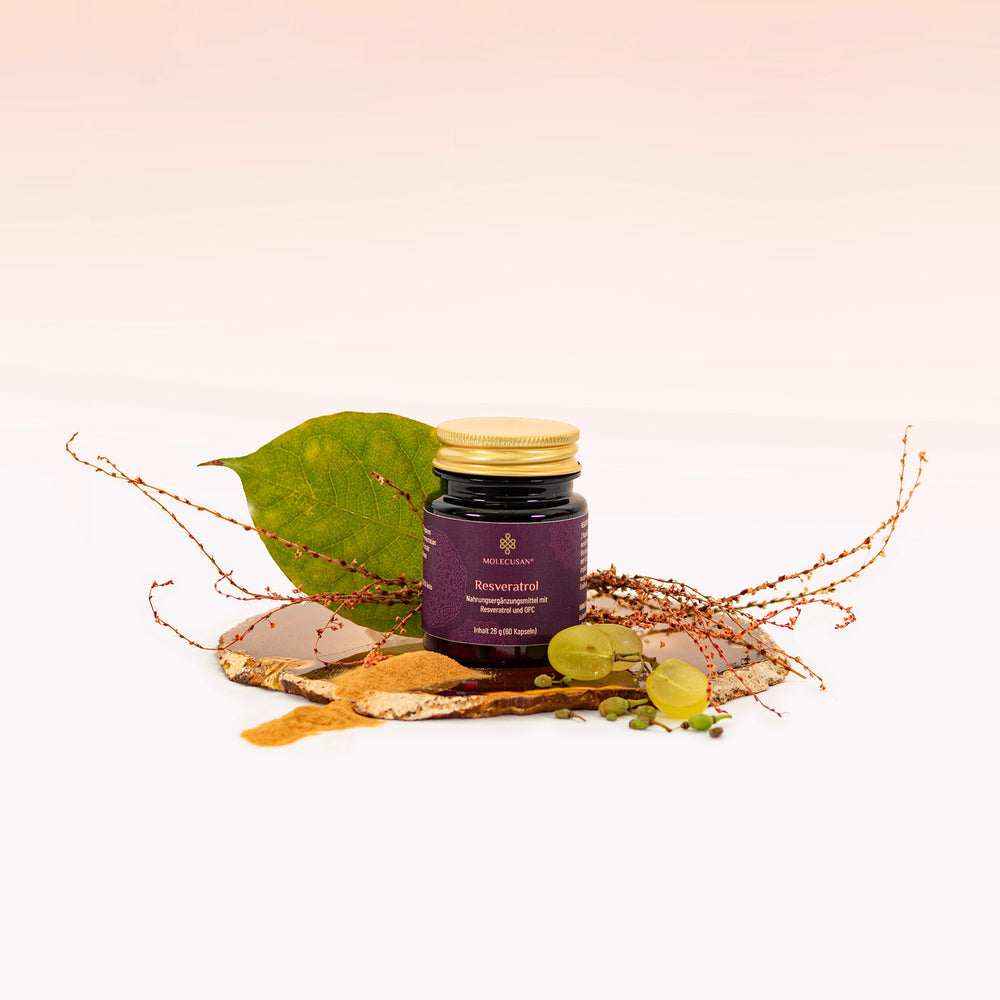 
                  
                    Resveratrol
                  
                